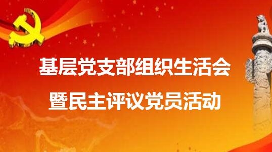 上藥常藥黨委各支部召開組織生活會(huì)并開展黨員民主評(píng)議活動(dòng)